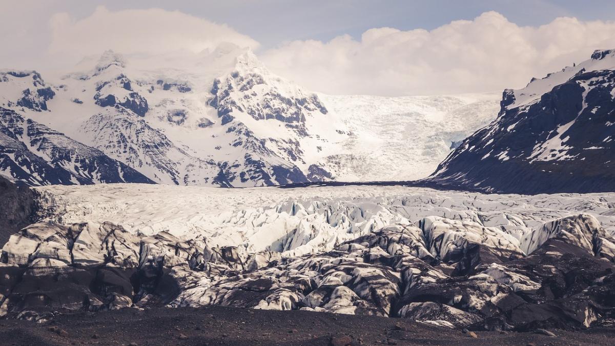 asa arata iadul in regiunea arctica a siberiei fotojurnalist erau sute mii pe picioarele mele
