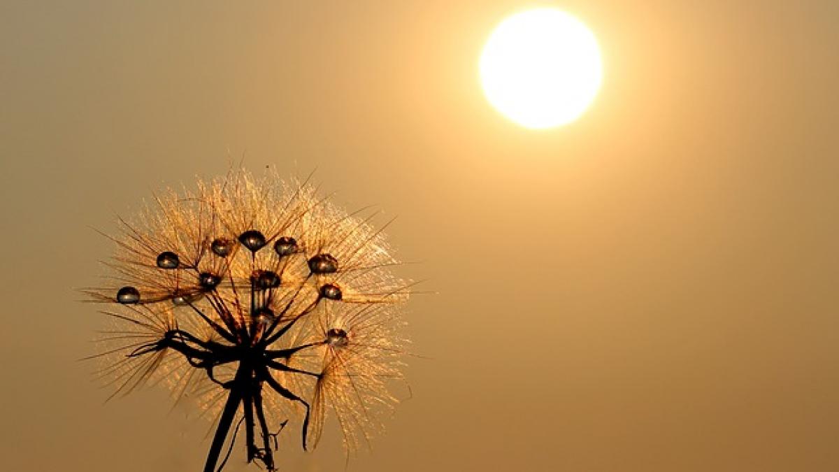 fenomen extrem la botosani nu s a mai intamplat din 1947