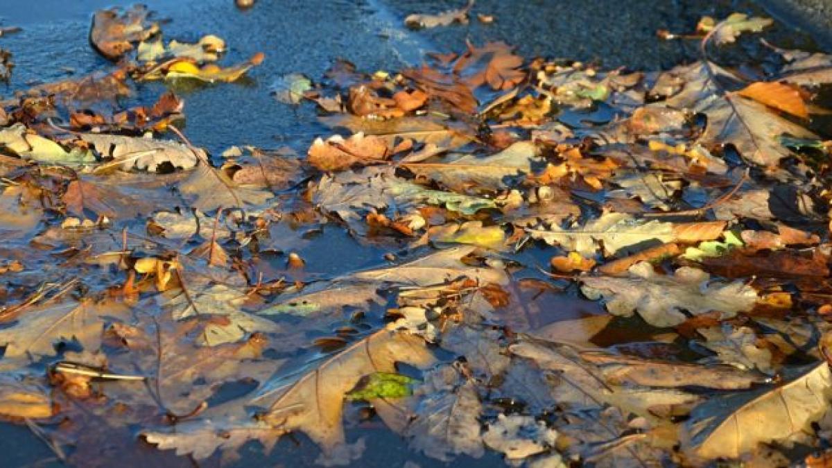 meteo de miercuri se raceste vremea