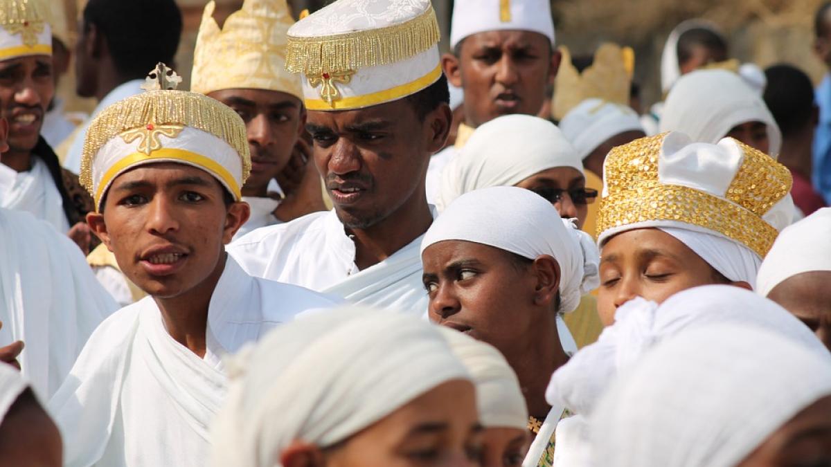 parlamentar egiptean