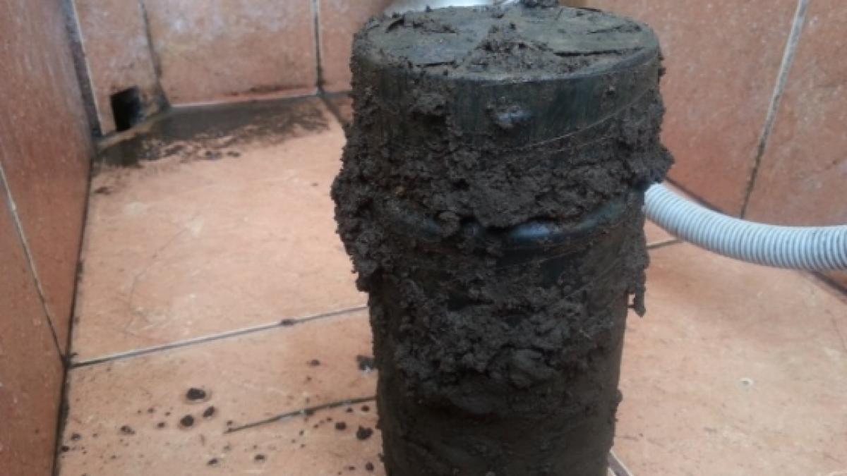 a gasit un borcan in gradina casei in care statea cu chirie si s a grabit sa il desfaca