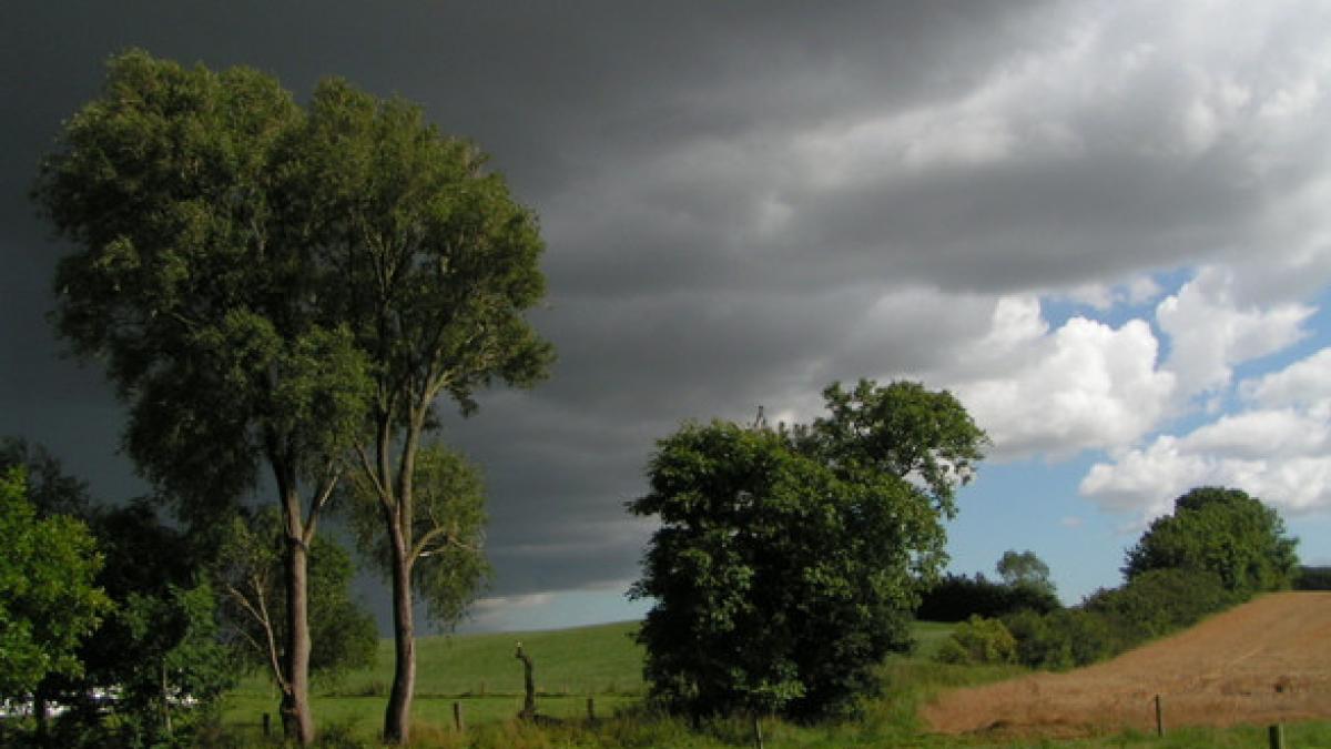 alerta meteo cod galben de furtuni si grindina