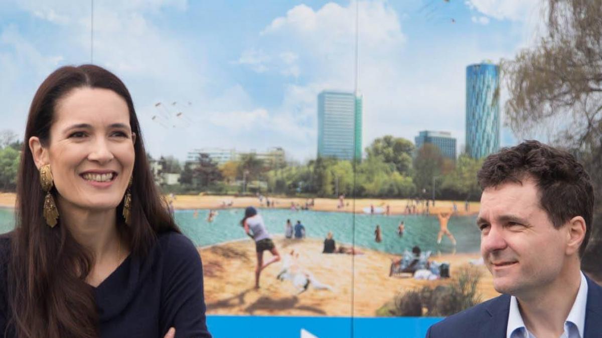 clotilde armand lider usr liderii pnl sunt impinsi de la spate de clientela de partid