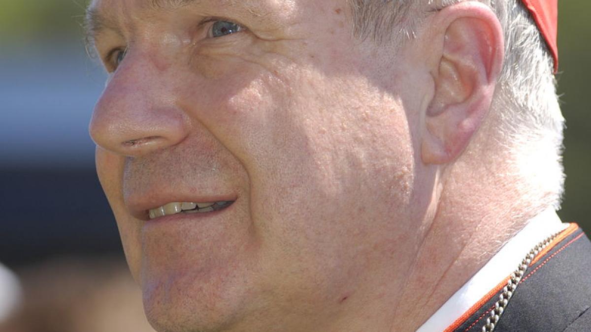 cardinalul favorit pentru a deveni urmatorul papa face un avertisment socant musulmanii doresc