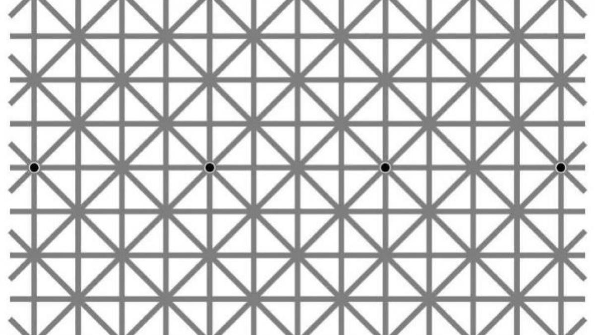 imaginea virala care a bulversat internetul nici tu nu poti sa le vezi pe toate