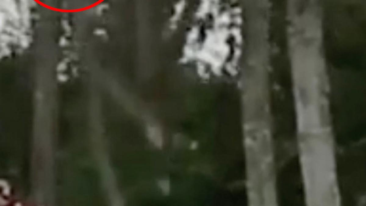 visau la o nunta perfecta insa au fost la un pas de moarte