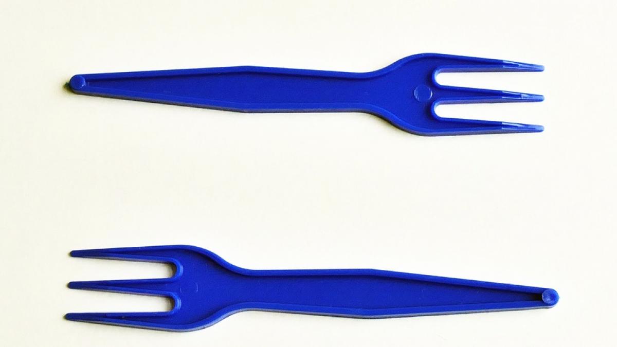 o tara europeana interzice definitiv tacamurile din plastic