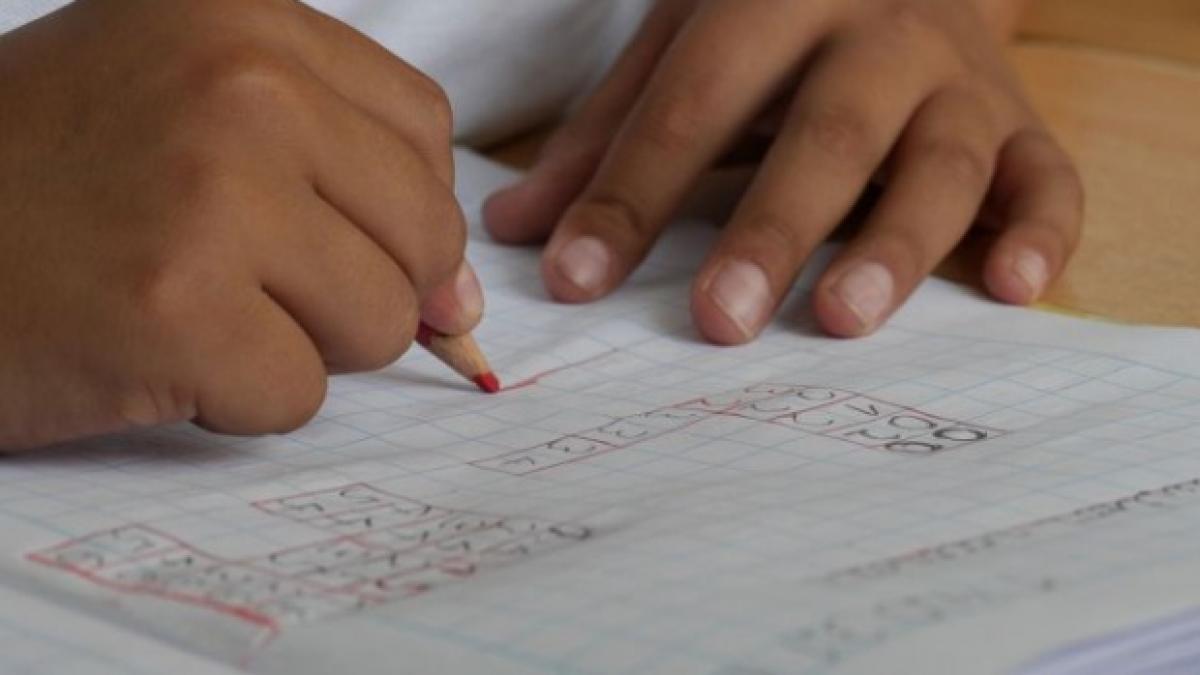 ministrul educatiei mircea dumitru anunt important pentru elevi ce se intampla cu temele de casa