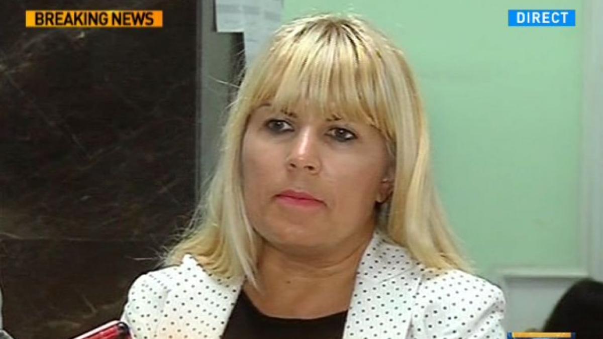 elena udrea banii au ajuns la vasile blaga si la pdl