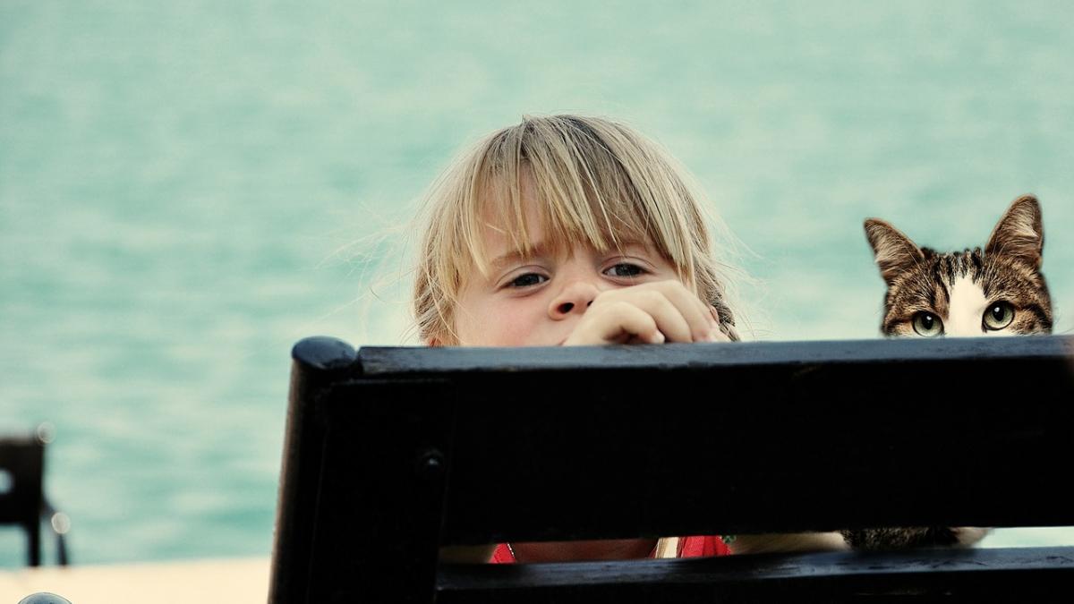 regulile unei fetite de 10 ani pentru colegul ei de banca lista ei este noul viral pe internet