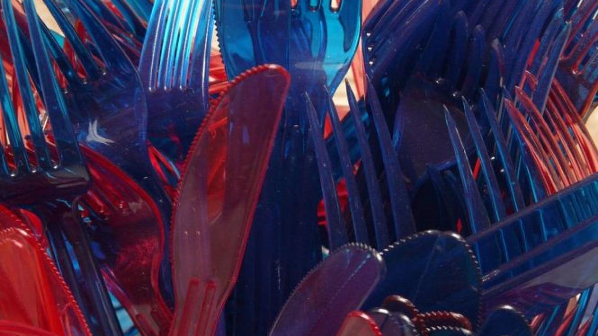 tacamurile de plastic vor fi interzise