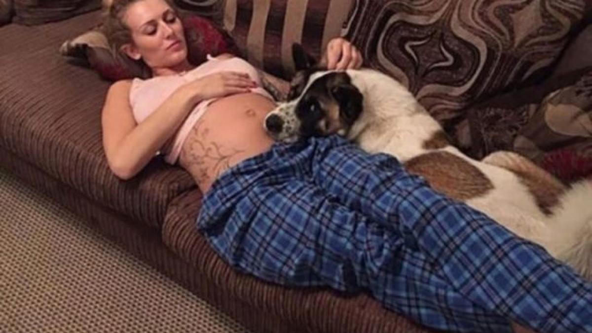 emotionant acest catel a refuzat sa se indeparteze de burta femeii doctorii au descoperit