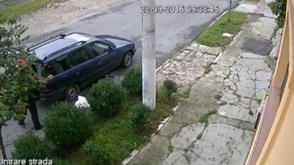 romania gunoi inregistrare masina barbat