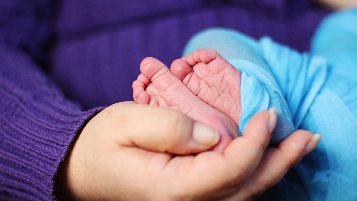 copil din trei parinti