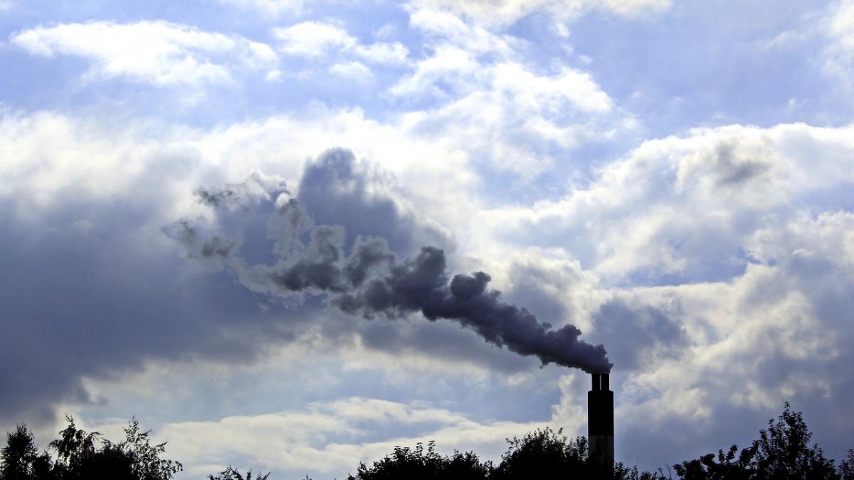 populatie glob aer poluat estimari