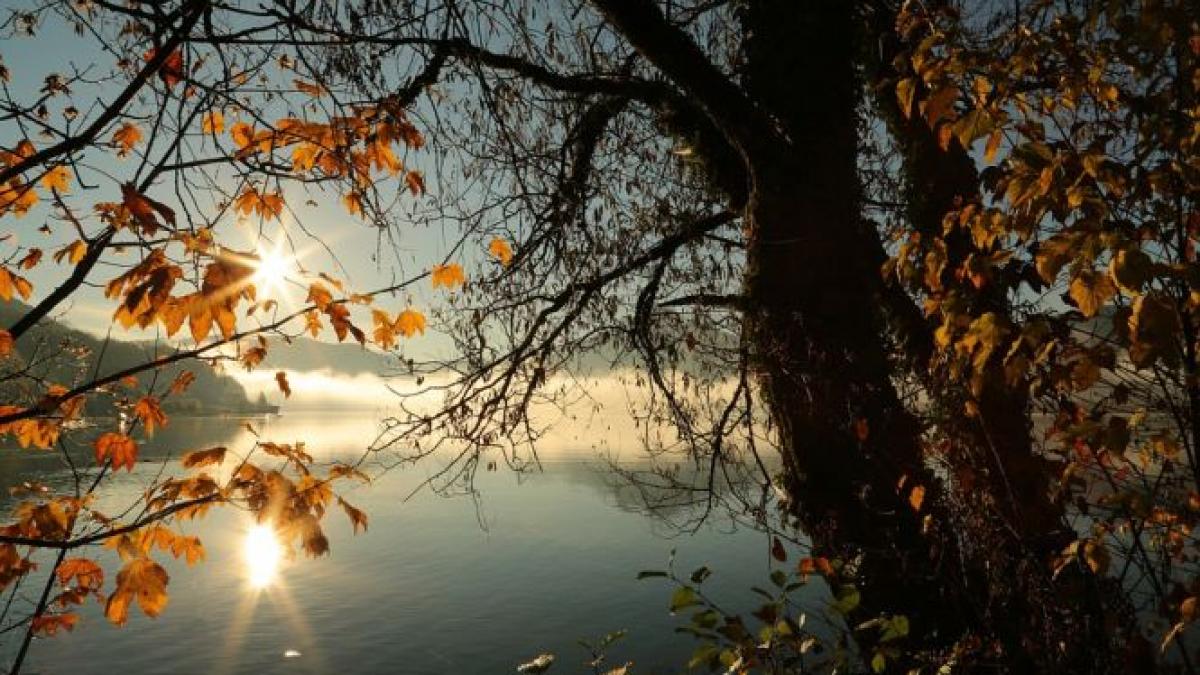 prognoza meteo pentru miercuri si joi