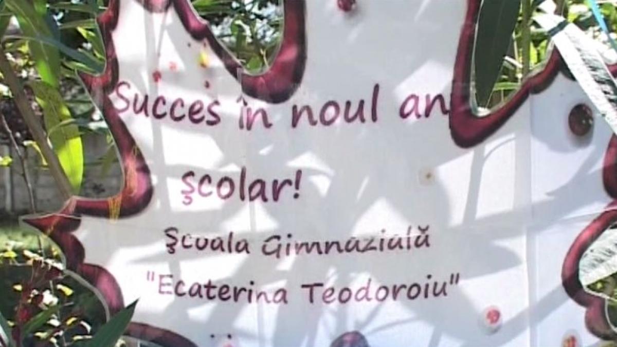 directoare scoala targu jiu