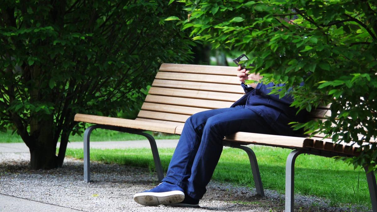 talharie simulata intr un mare parc din romania ce au constatat politistii