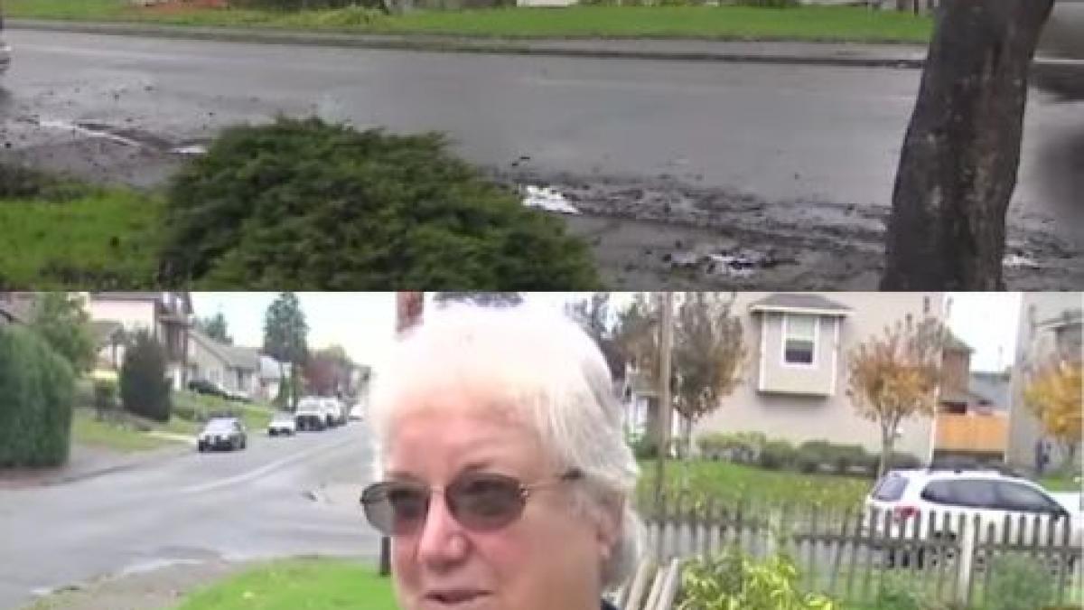 au obligat batrana sa taie de urgenta copacul vechi de 110 ani pe care il avea in curte ce a reusit