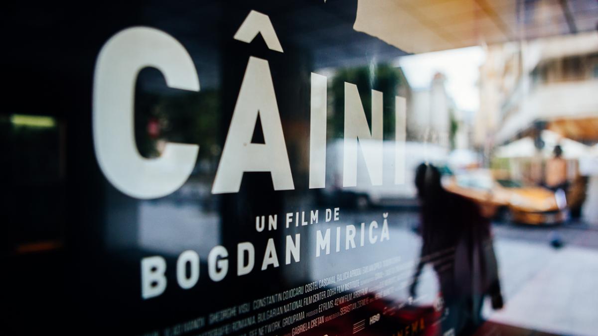 filmul caini elogiat in marile publicatii din franta noua senzatie a cinema ului romanesc