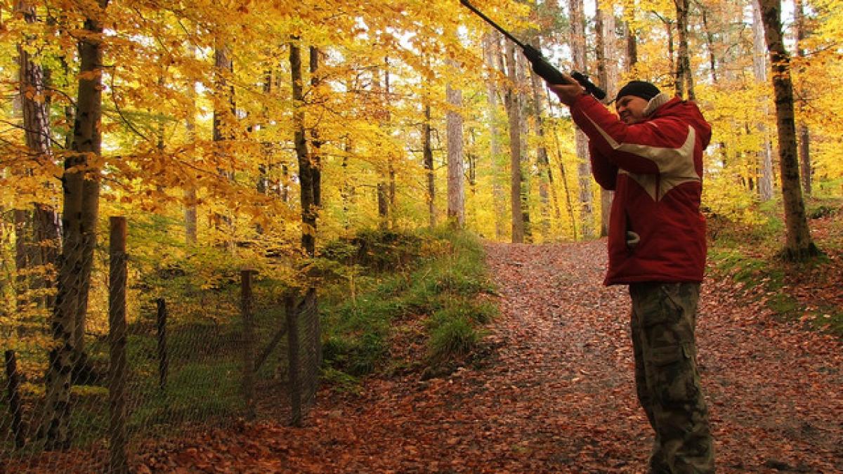 omul care a decis uciderea a 1 700 de animale protejate de lege