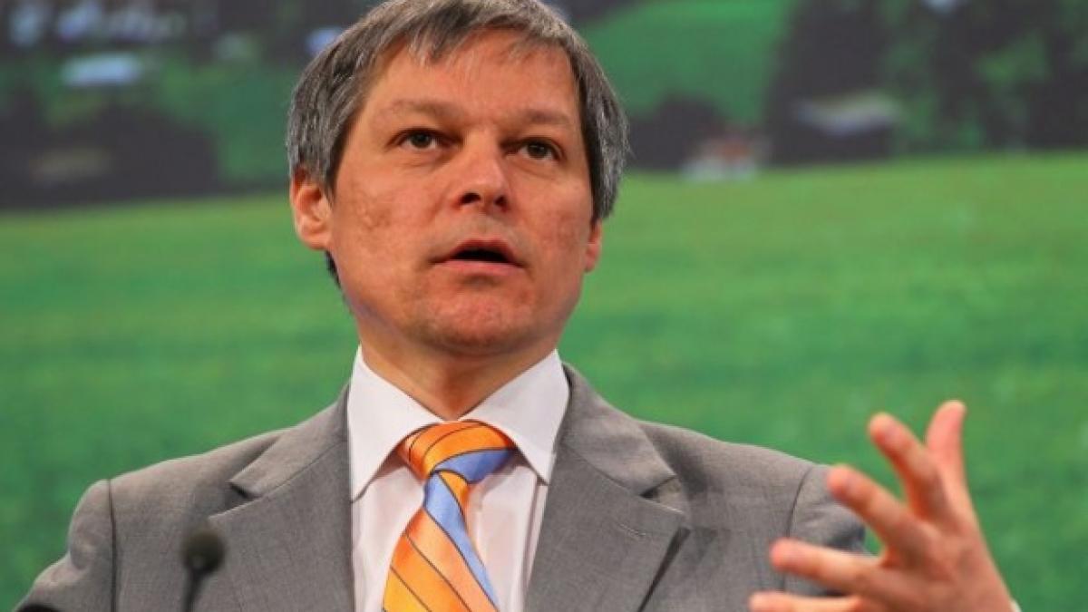 ciolos a imbracat un tricou al campaniei dosta a consiliului europei impotriva stigmatizarii romilor
