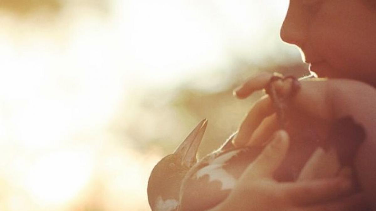 a ramas paralizata in urma unui accident stupid