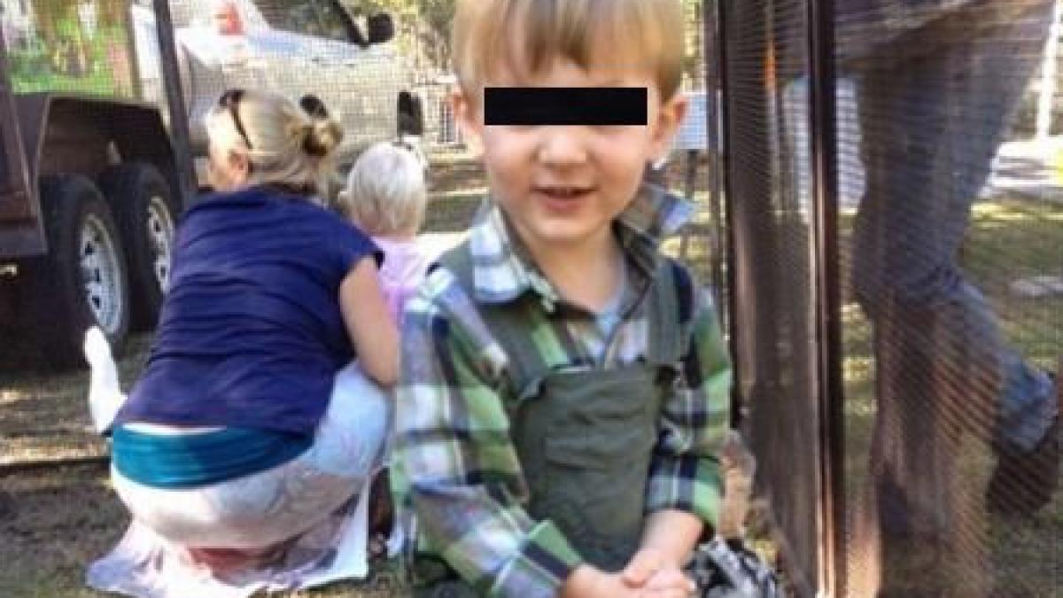 copilas intepat de sarpe veninos