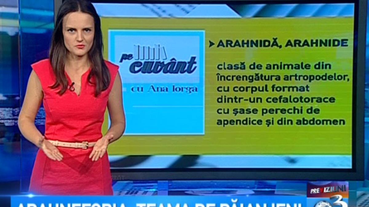 pe cuvant cu ana iorga numele spaimelor noastre