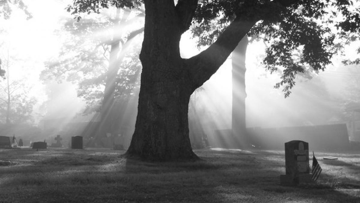 cum poti afla daca te apropii de moarte