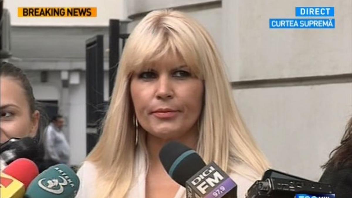 udrea basescu candidatura independent consultare