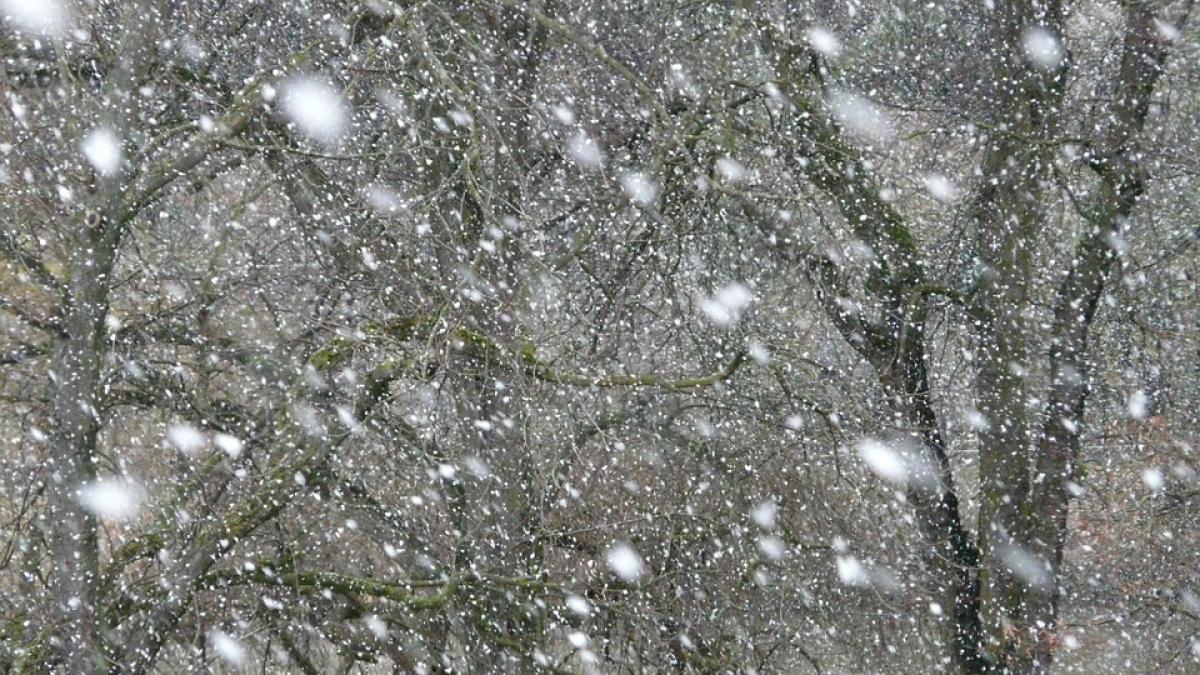 cod galben de ninsori si vant puternic ce zone sunt vizate