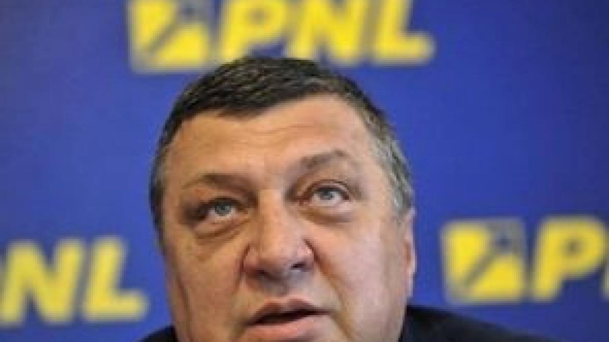 sezon aliante politic pnl alegeri