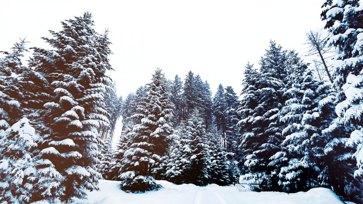 alerta meteo weekend cu ploi si ninsori abundente la munte