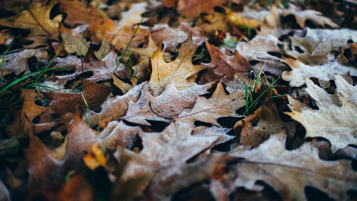 temperaturi negative in mai multe regiuni din tara noastra