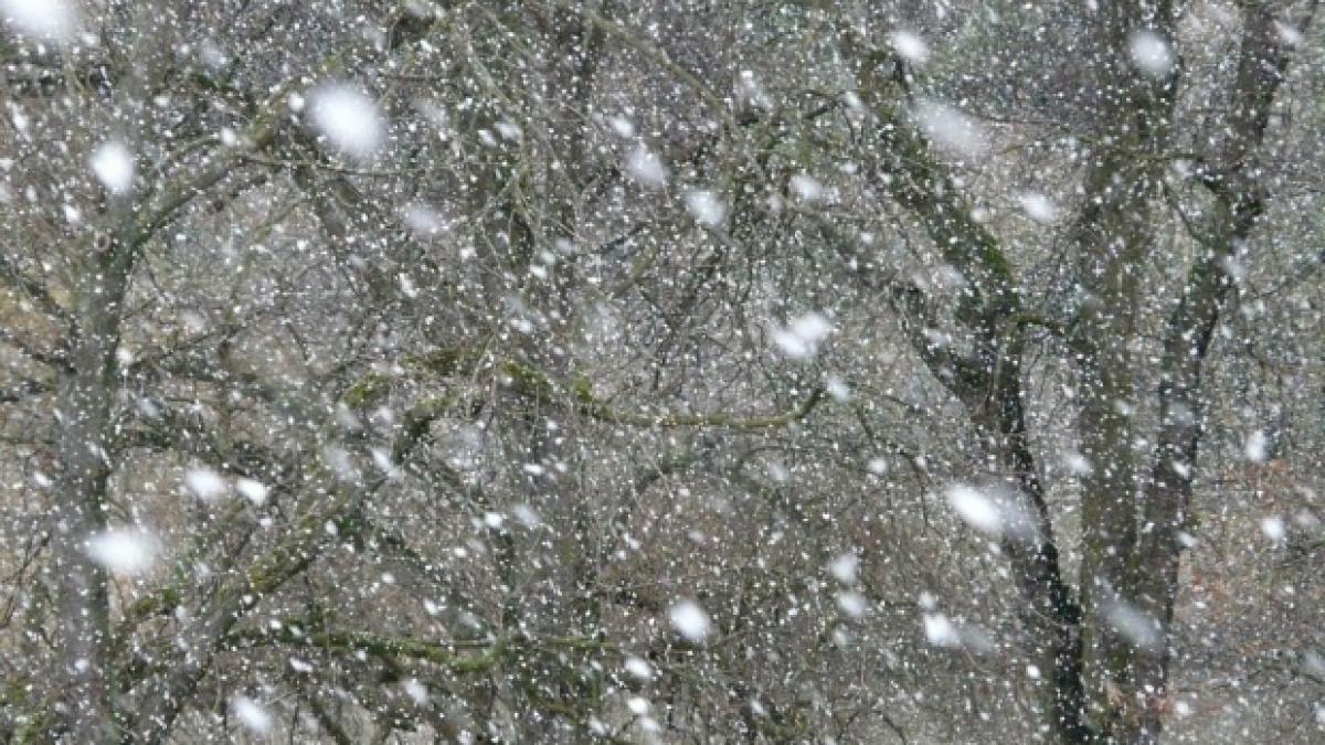 cod galben inundatii vant meteo