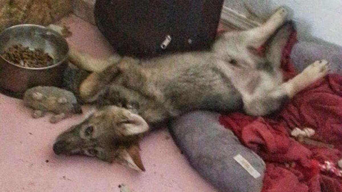 se plimba pe strada cand a vazut un afis