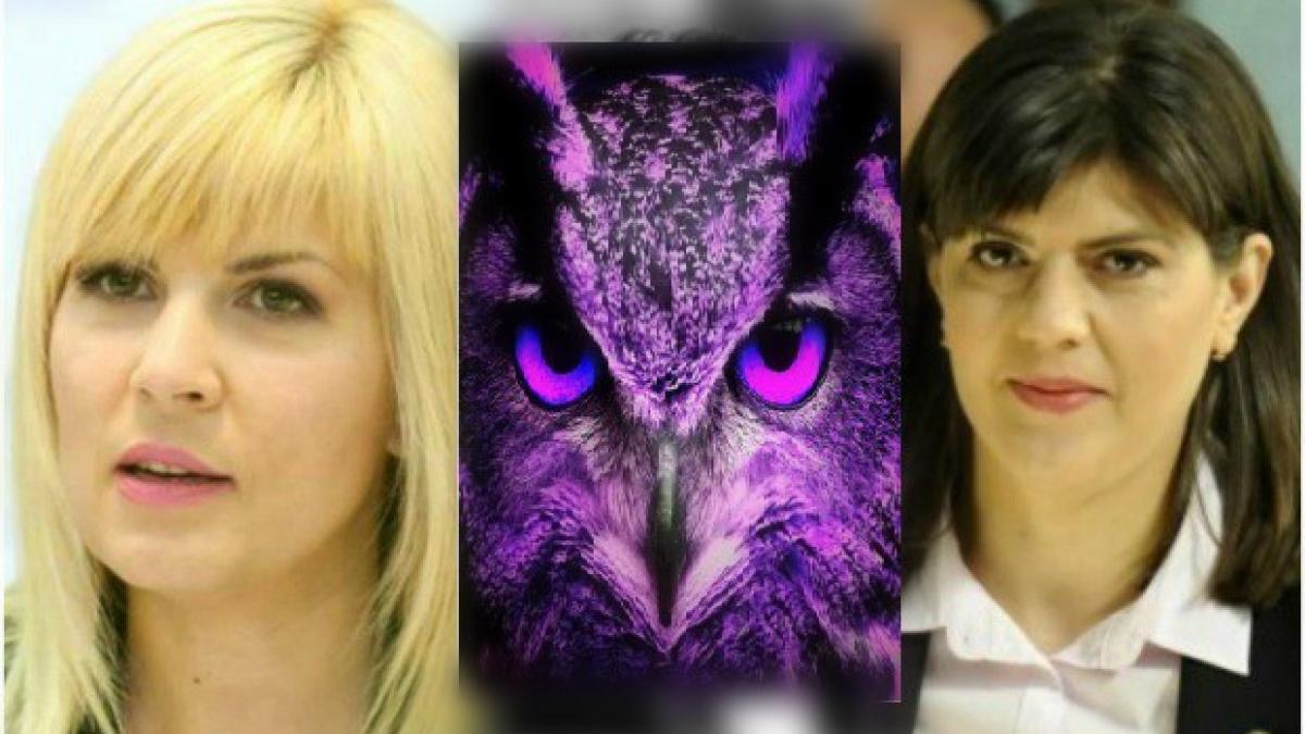 elena udrea o ataca pe kovesi incearca sa scape de cucuveaua mov