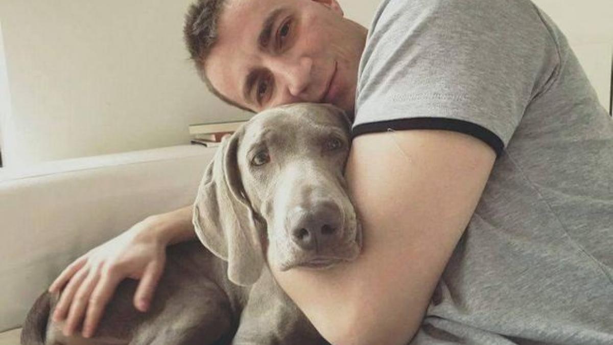 marian godina le as da ursilor din padure arme de foc