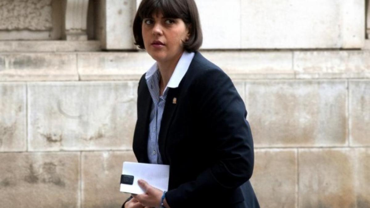 noi argumente ca laura codruta kovesi a plagiat in teza de doctorat