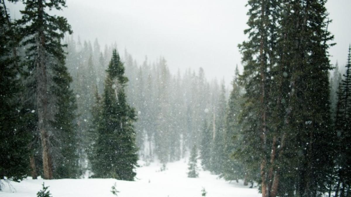 ploi vant puternic si ninsori ce se intampla cu vremea
