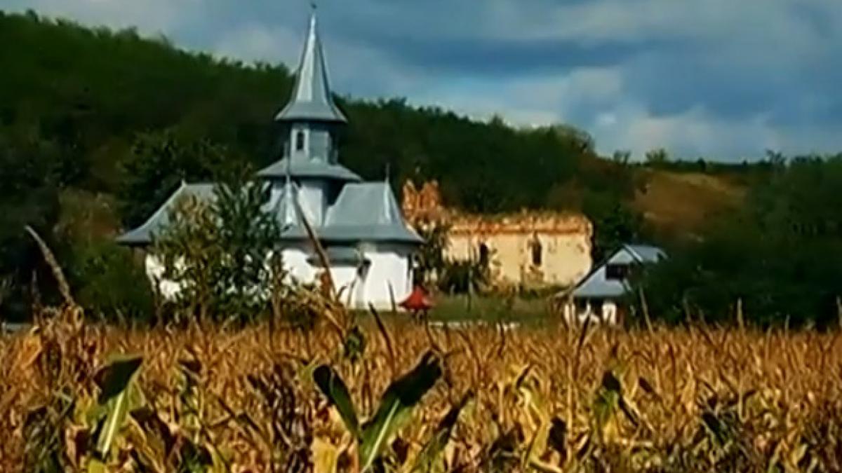 sinteza zilei romania copiilor casatoriti