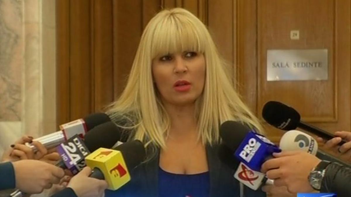 elena udrea femei functii pantofi