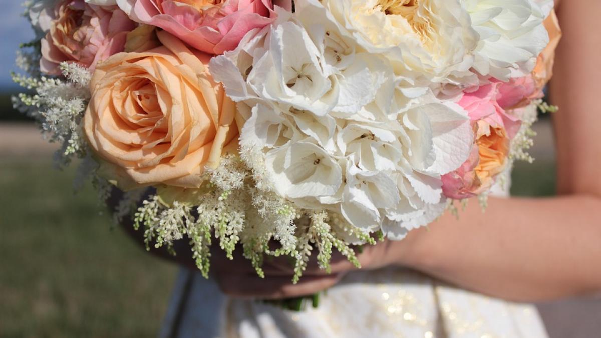 i a murit logodnica inainte de nunta dar a cunoscut din nou dragostea unde se astepta mai putin