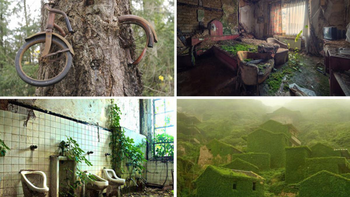 imagini uimitoare dovada ca natura invinge omul fotografii de o frumusete rara