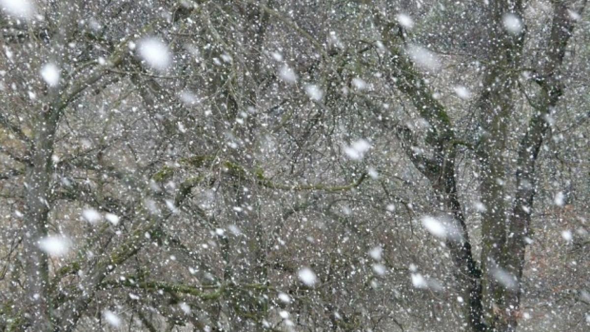 meteo cod galben ninsori atentionare