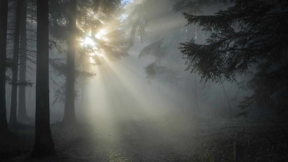 ninsori si vant puternic in mai multe judete din jumatatea estica a tarii