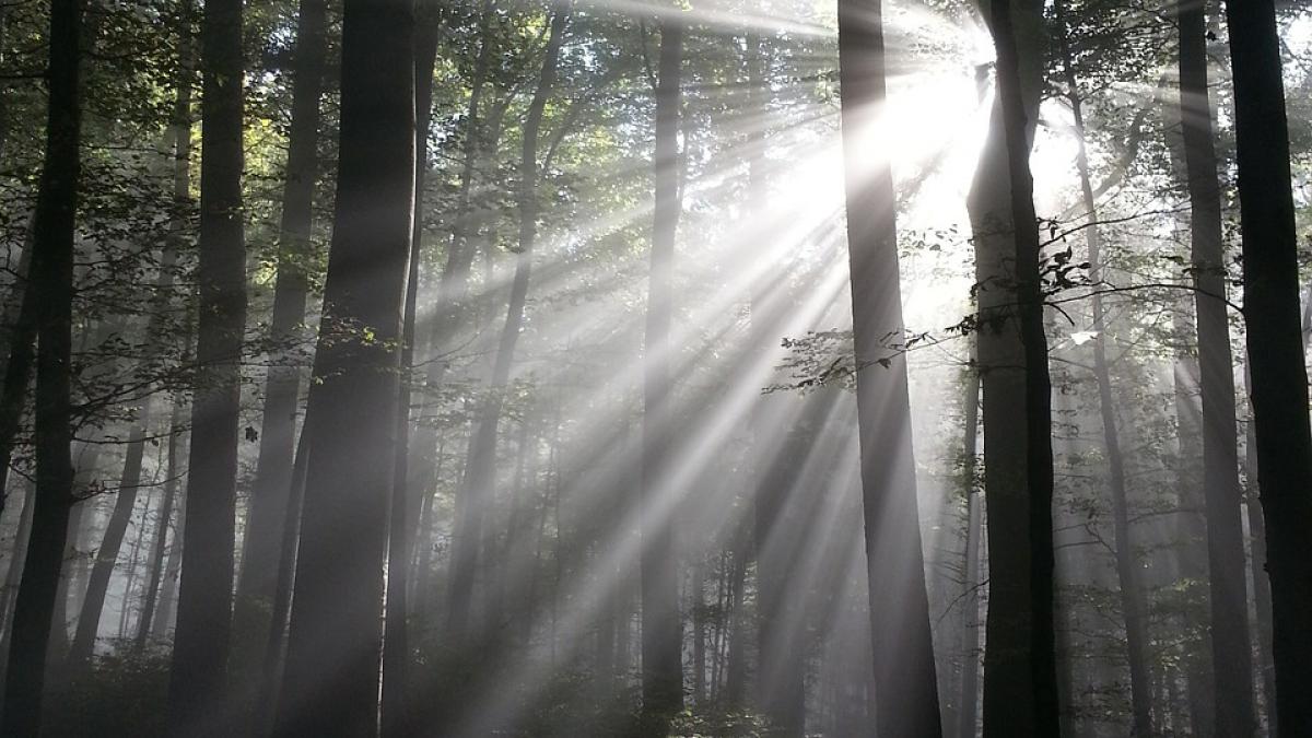 antrenorul unei echipe din liga 2 a ramas socat dupa deplasarea din covasna
