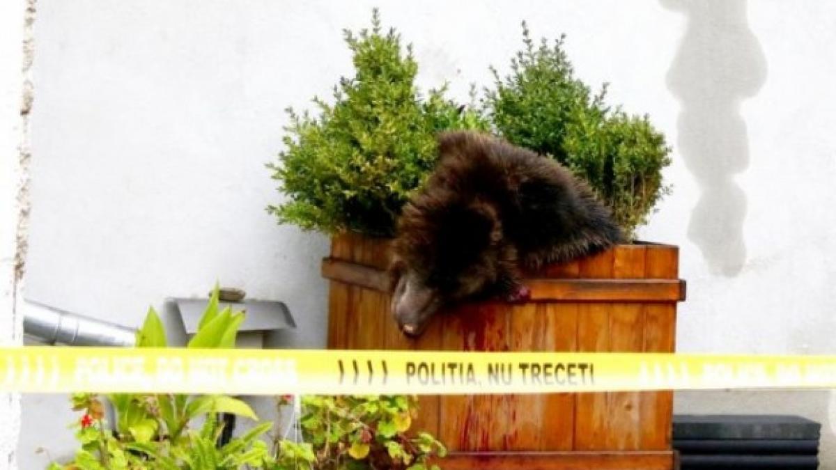 seful politiei din sibiu a demisionat un telefon anonim imi spunea ca o sa mi se rapeasca copiii si