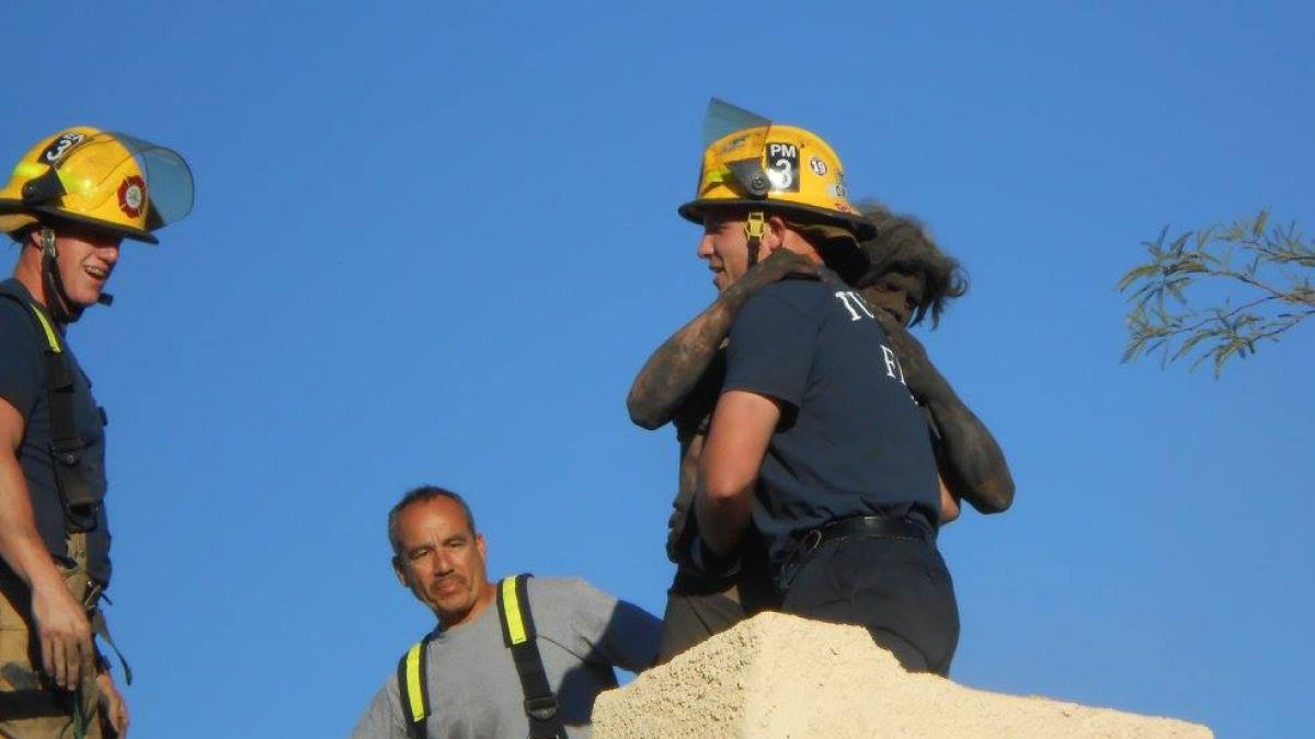 s a urcat pe acoperisul casei si a tipat timp de patru ore ce au gasit pompierii cand au ajuns la